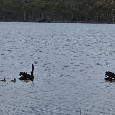 Lake Yalleena Nature Retreat Lake Leake Экстерьер фото